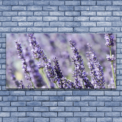 Lærredsbillede Blomster Plante Natur