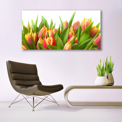 Billede lærred Tulipaner Blomster Plante