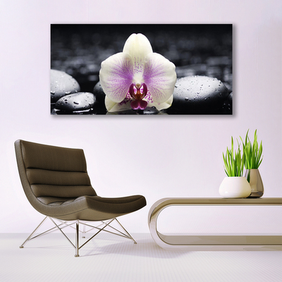 Foto til lærred Flower Orchid Plant