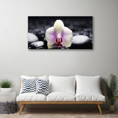 Foto til lærred Flower Orchid Plant