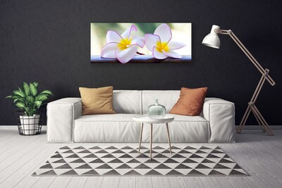 Lærred billede Blomster Kronblade Plumeria