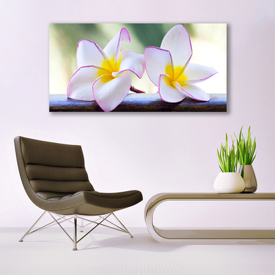 Lærred billede Blomster Kronblade Plumeria