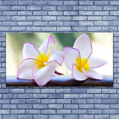 Lærred billede Blomster Kronblade Plumeria