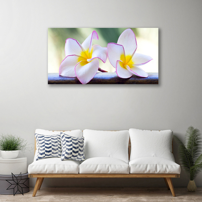 Lærred billede Blomster Kronblade Plumeria