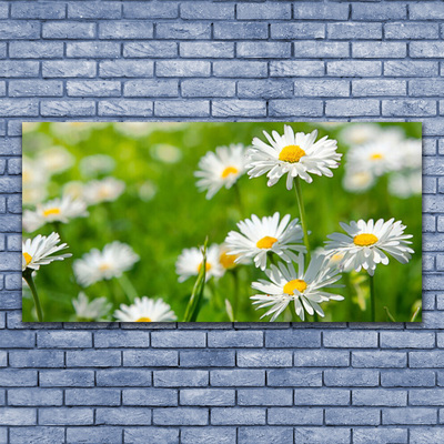 Billede lærred Daisy Flower Plant