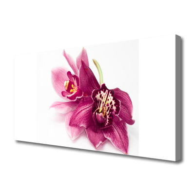 Lærred billede Blomster Planter Natur