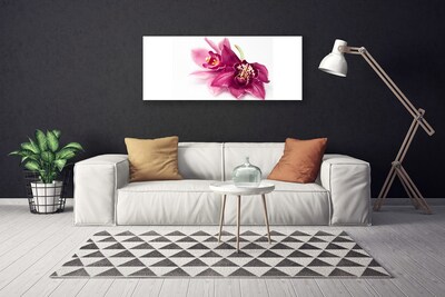 Lærred billede Blomster Planter Natur