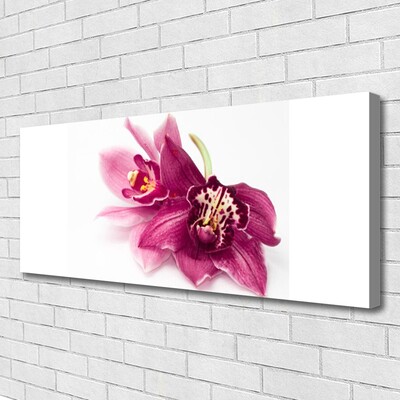 Lærred billede Blomster Planter Natur