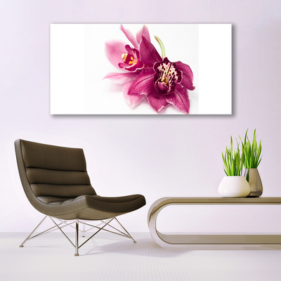Lærred billede Blomster Planter Natur