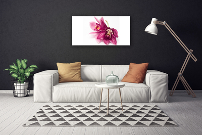 Lærred billede Blomster Planter Natur