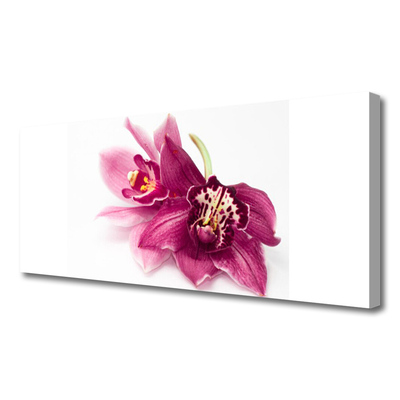 Lærred billede Blomster Planter Natur