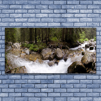 Lærredsbillede Forest River Waterfalls