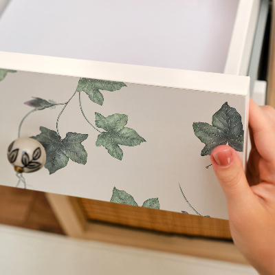 Selvklæbende folie til møbler Vedbendblade