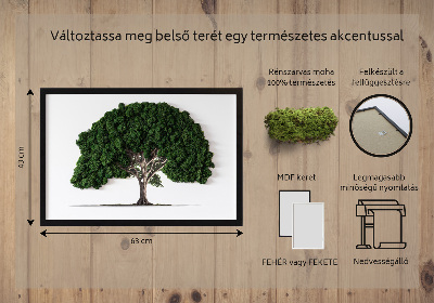 Mosbillede Træ på hvid baggrund