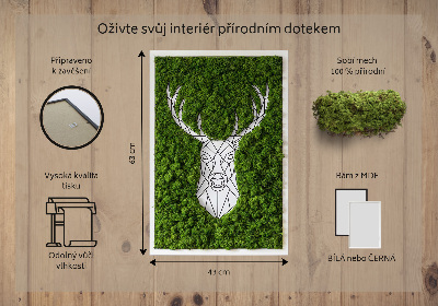 Mosbillede Geometrisk hjort