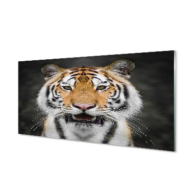 Glasbillede Tiger