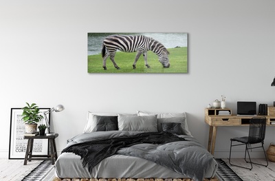 Billede i glas Zebra