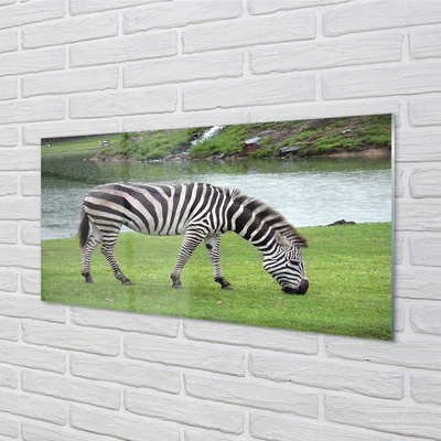 Billede i glas Zebra