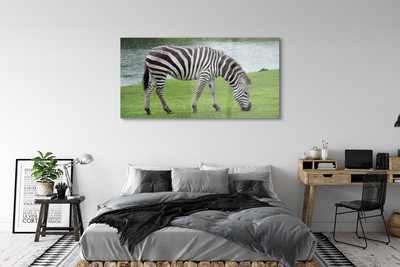 Billede i glas Zebra