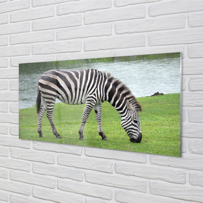 Billede i glas Zebra