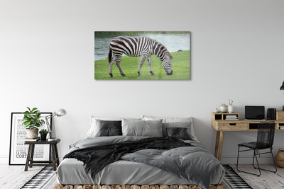 Billede i glas Zebra