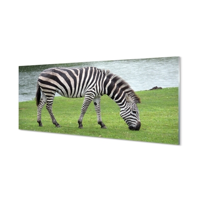 Billede i glas Zebra