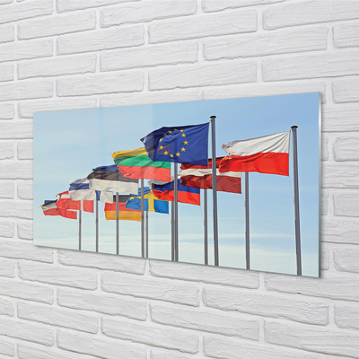 Glasfoto Mange flag