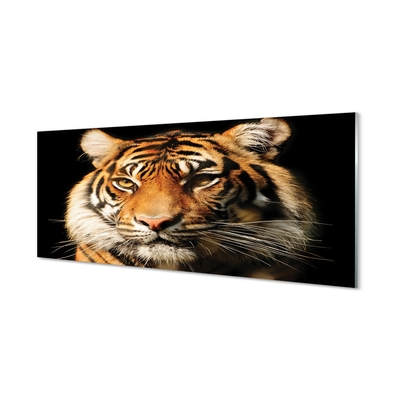 Glasfoto Tiger