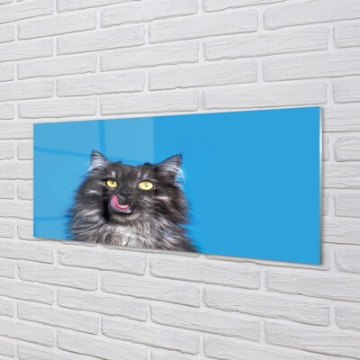 Billede glas Slikker kat