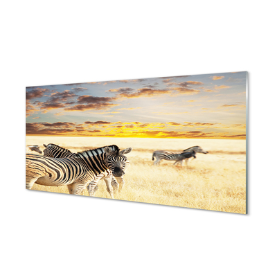 Glasbillede Zebrafelt solnedgang