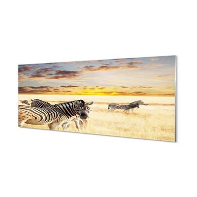 Glasbillede Zebrafelt solnedgang