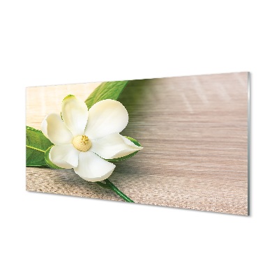 Billede glas Hvid magnolie