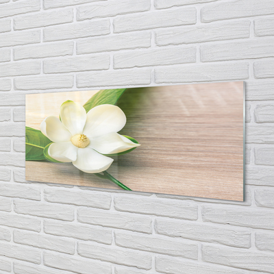 Billede glas Hvid magnolie