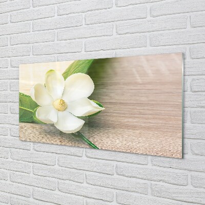 Billede glas Hvid magnolie