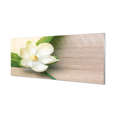 Billede glas Hvid magnolie