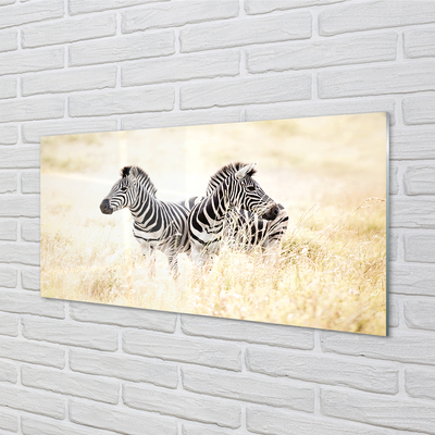 Billede i glas Zebra field