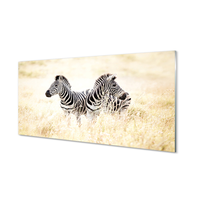 Billede i glas Zebra field