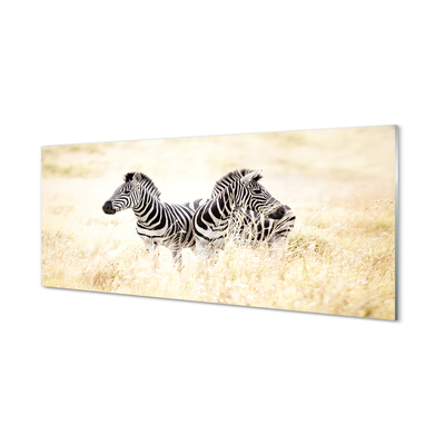 Billede i glas Zebra field