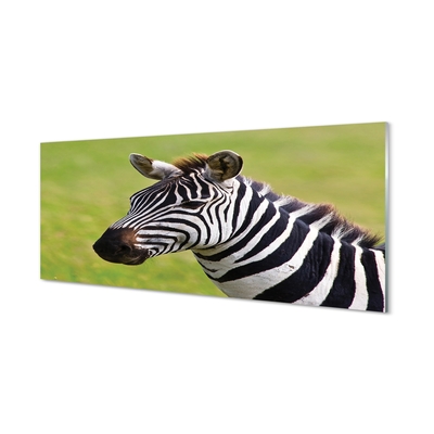 Billede på glas Zebra