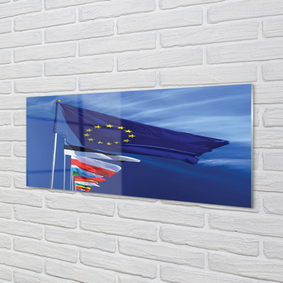 Billede i glas Forskellige flag