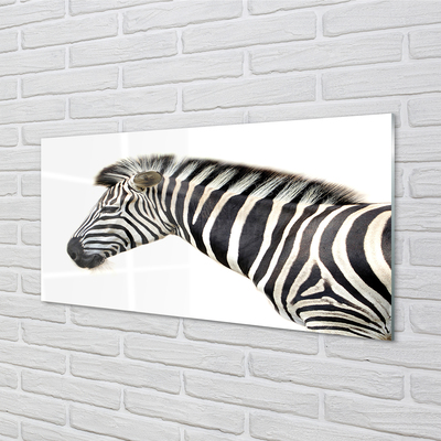 Glasfoto Zebra