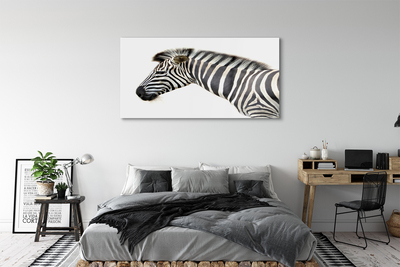 Glasfoto Zebra