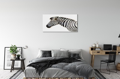 Glasfoto Zebra