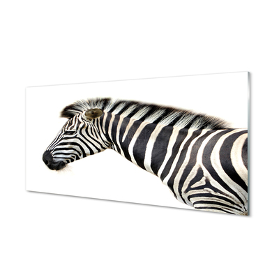 Glasfoto Zebra