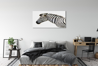 Glasfoto Zebra