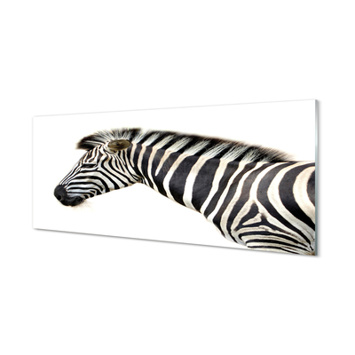 Glasfoto Zebra