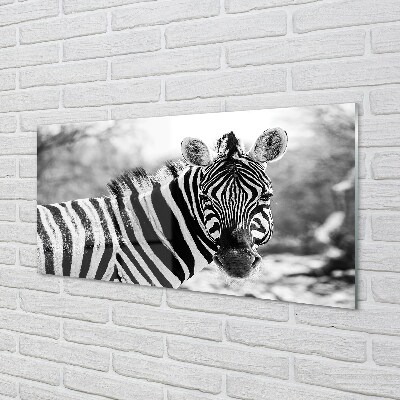 Billede i glas Retro zebra