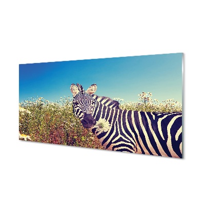 Billede glas Zebra blomster