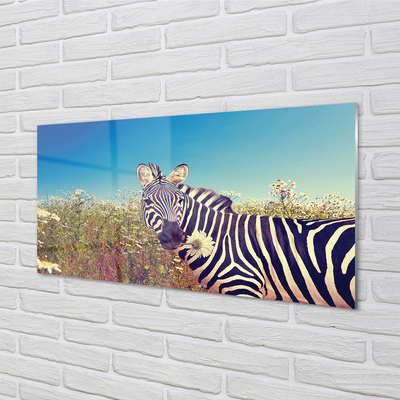 Billede glas Zebra blomster