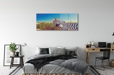 Billede glas Zebra blomster